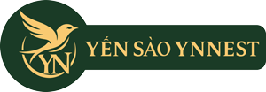 YẾN SÀO YNNEST